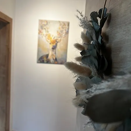 Baerenblick Achensee Eben am Achensee